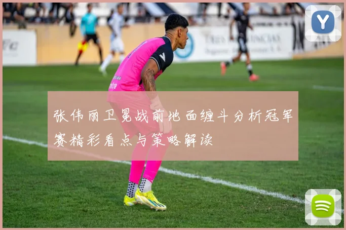 张伟丽卫冕战前地面缠斗分析冠军赛精彩看点与策略解读